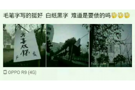 泸州泸州的要账公司在催收过程中的策略和技巧有哪些？